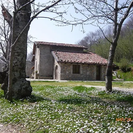 Agriturismo Il Vignale Longi
