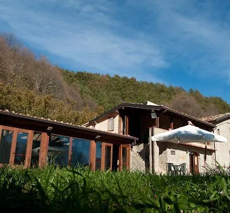 Il Vignale