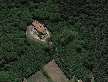 Il Vignale Longi