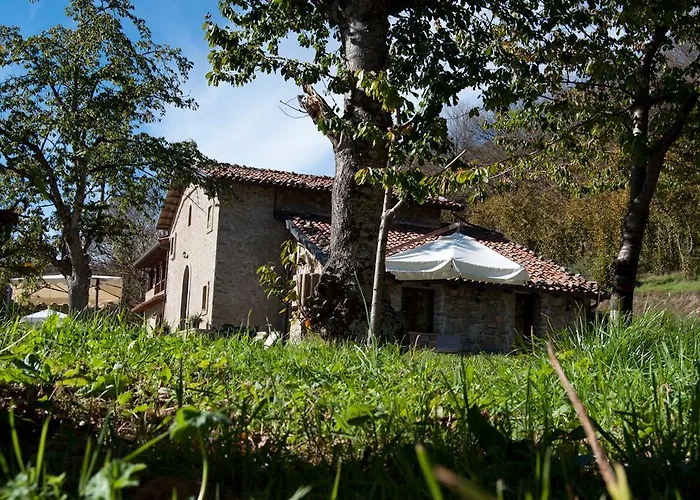 Çiftlik konaklama Il Vignale Longi